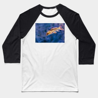 Golden iridescent aquarium fish Baseball T-Shirt